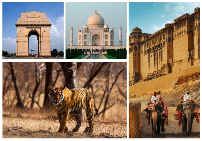 Golden Triangle Tour with Ranthambore